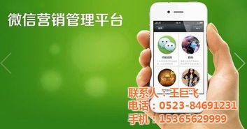 微信营销新视角 金橙科技与橙橙天科技的双雄对决与共生之道